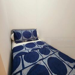 Leedon Green (D10), Condominium #537903361